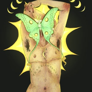 transcendence print