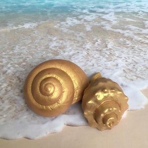 Sea Shell Soap Set of 2,Different Colors,Ocean Soap, Beach Soap, Beach House, Beach Rental, Guest Soap, Marine Soap.