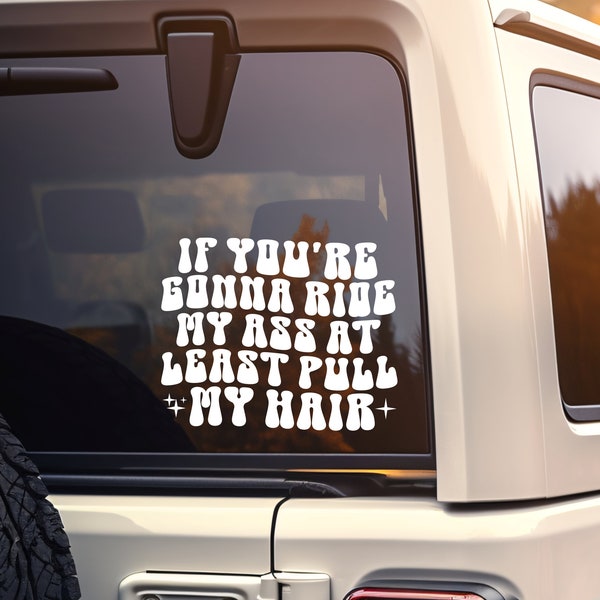 If You're Gonna Ride My Ass At Least Pull My Hair Vinyl Car Decal, Cute Gen Z Sticker For Women Teens, Car Accessories For Her