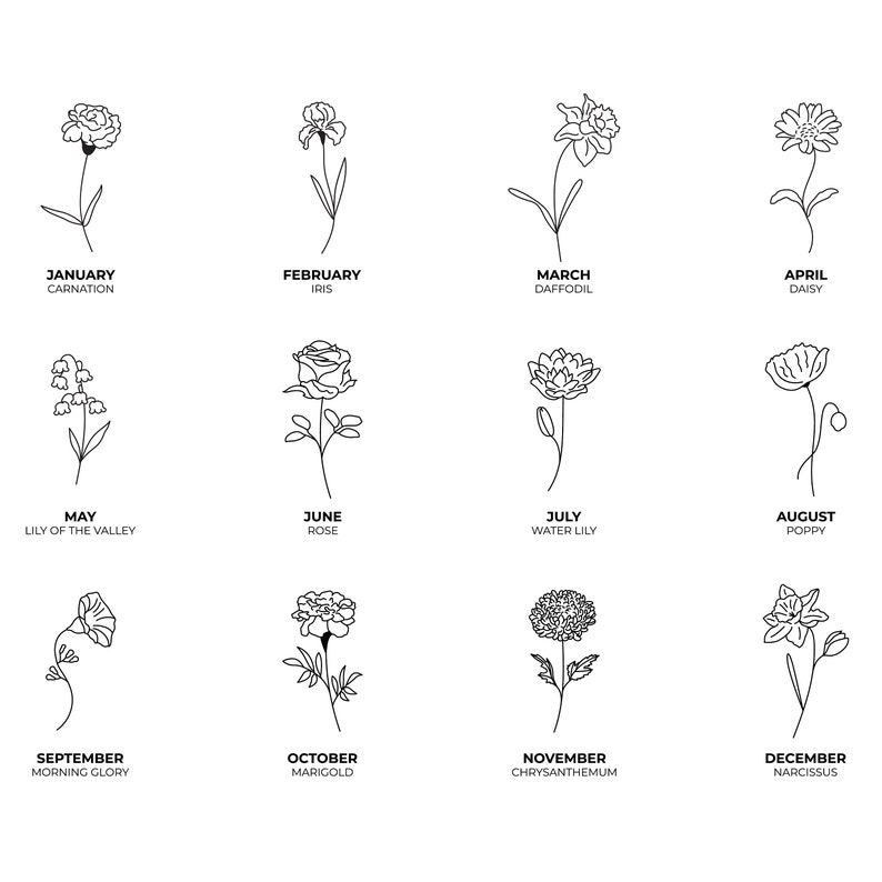 May include: Black and white line drawings of twelve different flowers, each representing a month of the year. Each flower is labeled with its month and common name, including Carnation, Iris, Daffodil, and Daisy.