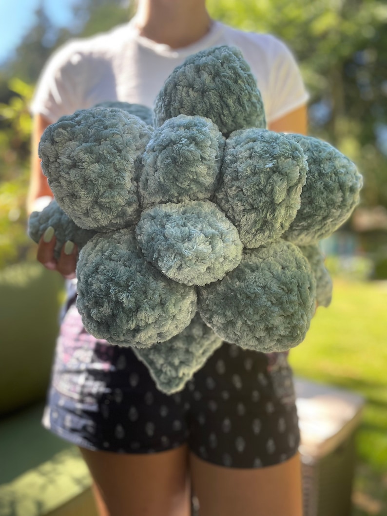Succulent Pillow Crochet Pattern PDF Etsy