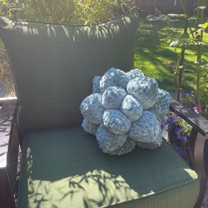 Crochet Succulent Pillow