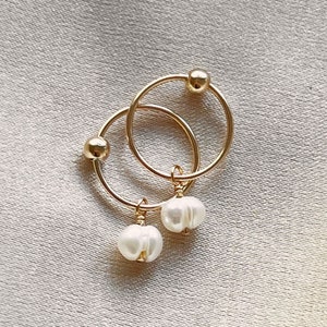 14k Gold Filled Hoop echte Süßwasserperle Ohrringe hängende zierliche Ohrringe zarte Tropfen Huggie baumeln Ohrringe Brautjungfer Hochzeit