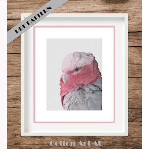 Pink Galah cross stitch, Bird Cross Stich pattern, cross stitch bird pattern, PDF cross stitch pattern