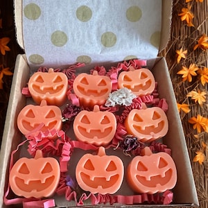 Fondants de cire de citrouille et d&#39;épice : boîte-cadeau de cire de soja d&#39;Halloween (9 pièces)