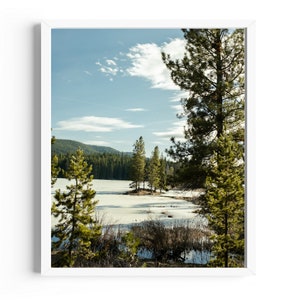 Whispering Pines: Tranquil Lake Vista | Fine Art Photography Print – Nature-Inspired Wall and Home Decor