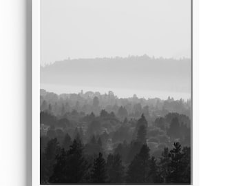 Impresión del brumoso noroeste del Pacífico: paisaje forestal monocromático
