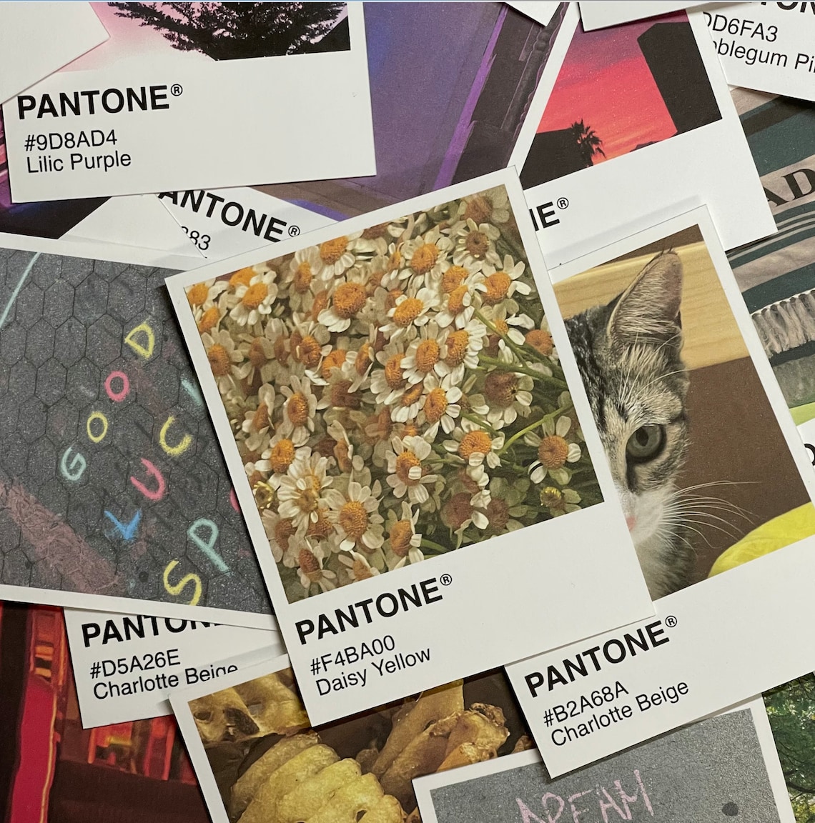 Pantone Color Postcard Postcard Poster Wall Hangings Color Etsy