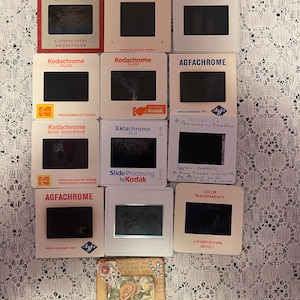 Vintage Photo Slides -Twelve Plus One More!