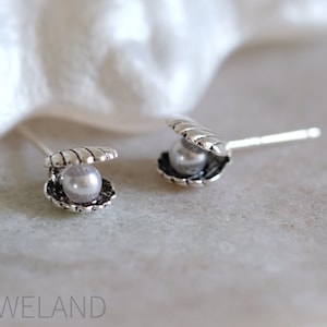 Seashell with Pearl Silver Earrings - Dainty 925 Sterling Silver Stud Push Back Earrings for Children Girls Women, Minimalist, Ocean, Summer
