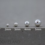 Silver Stud Earrings