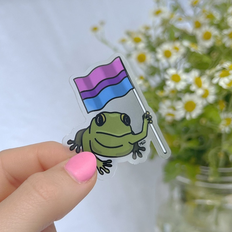 3 Pack Frog With Pride Flag Clear Vinyl Sticker - Etsy