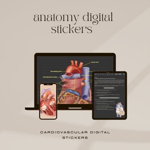 Puede incluir: Pegatinas digitales de la anatomía del corazón humano. La imagen muestra un portátil y una tableta con ilustraciones del corazón y sus partes, incluyendo el arco aórtico, la aorta descendente y la arteria pulmonar izquierda. También se puede ver el texto "anatomy digital stickers" y "cardiovascular digital stickers".