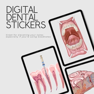 Pegatinas digitales dentales: Goodnotes, PNG, toma de notas, estudiantes de higiene, estudiantes de odontología.