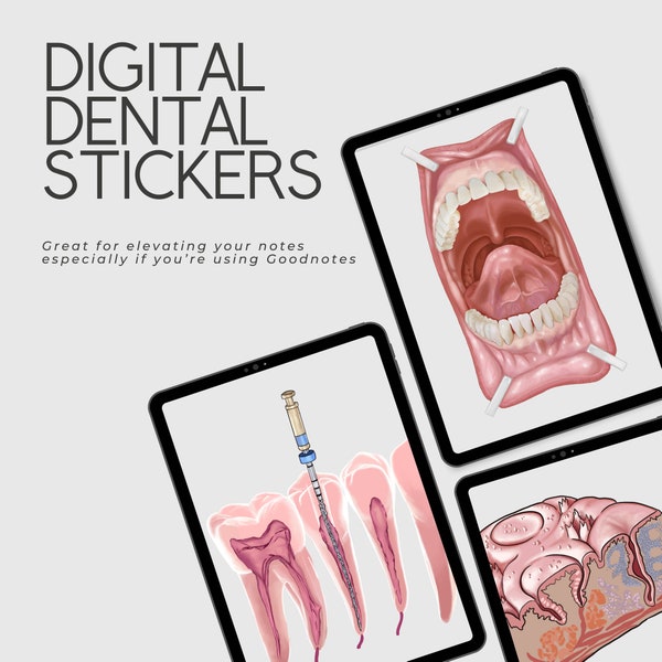 Digitale Zahnaufkleber - Goodnotes, PNG, Notizen, Hygieneschüler, Zahnärzte.