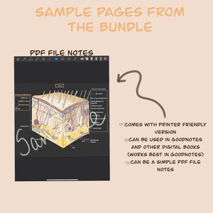 Anatomy and Physiology Notes, Section One (PDF Download) image 4