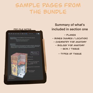 Anatomy and Physiology Notes, Section One (PDF Download) image 5