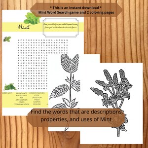 Word Search Digital Download, Printable Game and Coloring Page, Herbal Word Seek, 8 5x11, Pagan Word Search, Wicca Word Search