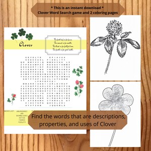 Word Search Digital Download, Printable Game and Coloring Page, Herbal Word Seek, 8 5x11, Pagan Word Search, Wicca Word Search