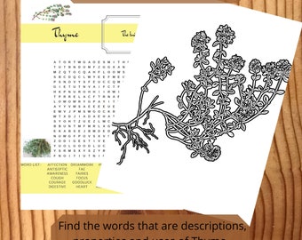 Word Search Digital Download, Printable Game and Coloring Page, Herbal Word Seek, 8 5x11, Pagan Word Search, Wicca Word Search