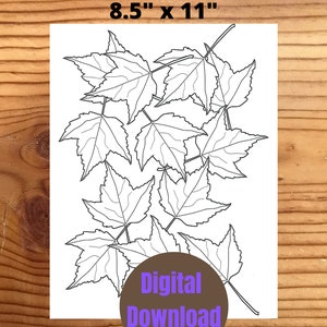 Instant Digital Download Coloring Page, Fall Leaves Coloring Page 8.5 x 11"
