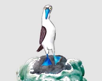 Blue Footed Booby - Art Print - Wall Decor