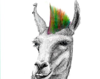 Llamahawk- Llama Mohawk Illustration - Art Print - Wall Decor