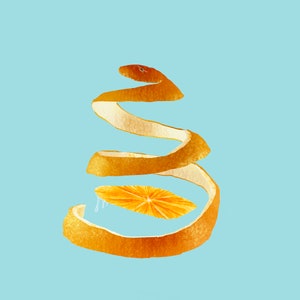 First Cut - Orange Illustration - Art Print- Kitchen Decor- Office Decor