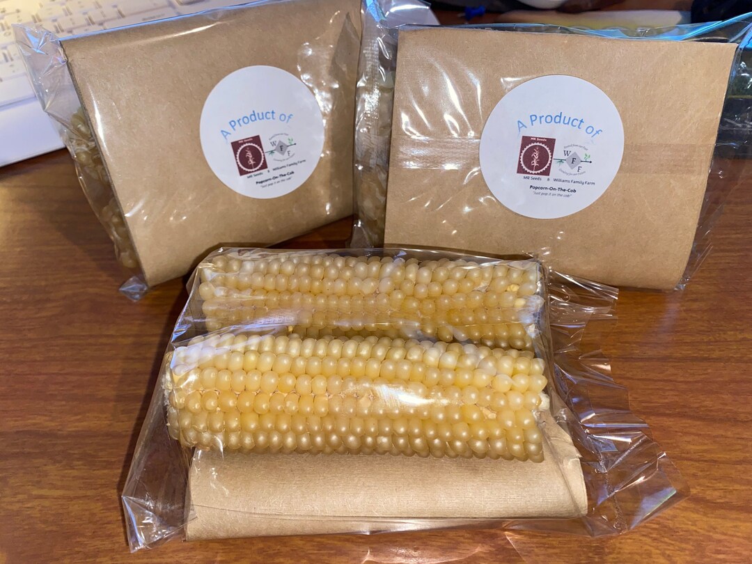 Homegrown popcornonthecob Etsy