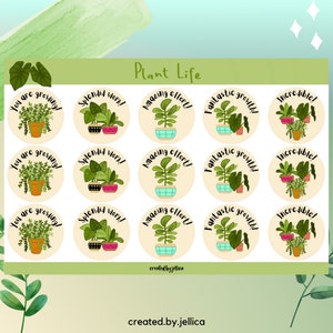 Autocollants d’enseignant Plant Life