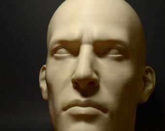 Männlicher Realistischer Kopf XL (7 Zoll & 9,2 Zoll) | Portrait Referenzwerkzeug | Mehrere Größen