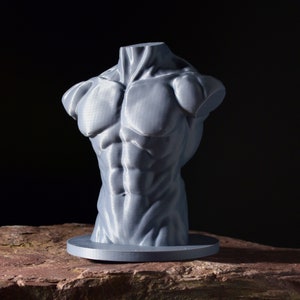 Male Torso Artists Mannequin | Male Anatomy Model | Figure Drawing Reference
