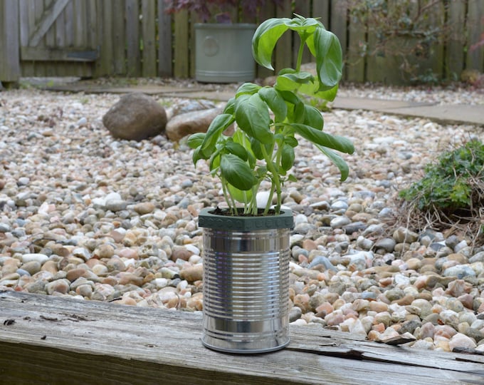 Plant Pot Insert for Heinz Soup Can | Self Watering Plant Pot | Upcycle Soup Can