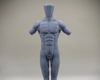 Human Anatomy Figure 15cm / 6" — Male Muscular Mannequin