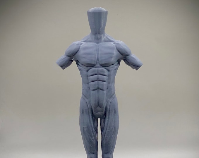 Human Anatomy Figure 15cm / 6" — Male Muscular Mannequin