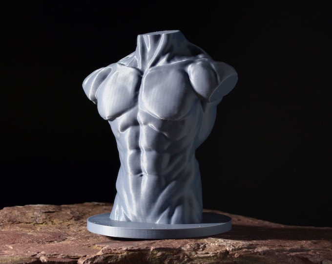 Male Torso Artists Mannequin | Male Anatomy Model | Figure Drawing Reference