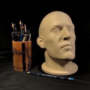Male Realistic Head Bust XL (7 inches & 9.2 inches) | Portrait Reference Tool | Multiple Sizes