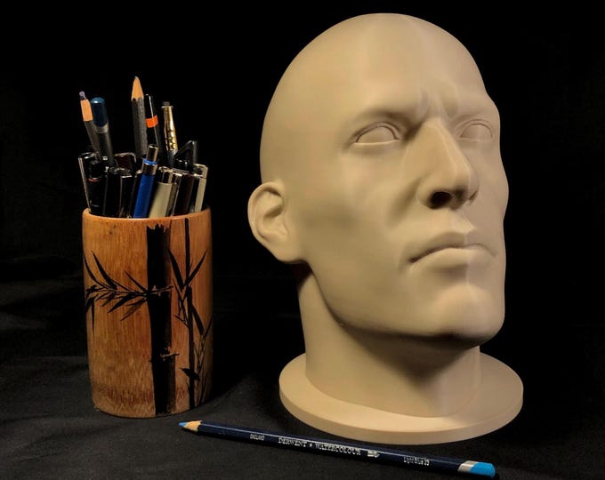 Male Realistic Head Bust XL (7 inches & 9.2 inches) | Portrait Reference Tool | Multiple Sizes