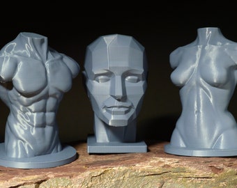 May include: Three 3D printed anatomical sculptures: a male torso, a female torso, and a human head. The sculptures are a light grey colour and are displayed on a brown wooden surface.