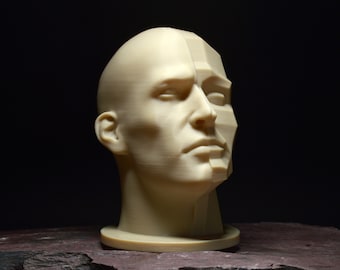 May include: A beige plaster sculpture of a human head with one side of the face sculpted in a realistic style and the other side sculpted in a geometric style.