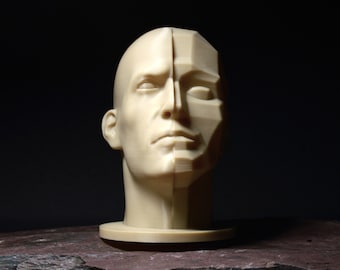 Planar Split Head (Male) | Portrait Drawing Sculpting Aid | Loomis Bammes Asaro