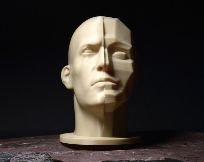 Planar Split Head (Male) | Portrait Drawing Sculpting Aid | Loomis Bammes Asaro