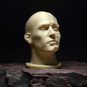 Planar Split Head (7 inch & 9.2 inch) | Portrait Drawing Sculpting Aid | Loomis Bammes Asaro