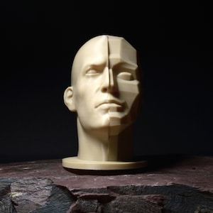 Planar Split Head (Male) | Portrait Drawing Sculpting Aid | Loomis Bammes Asaro