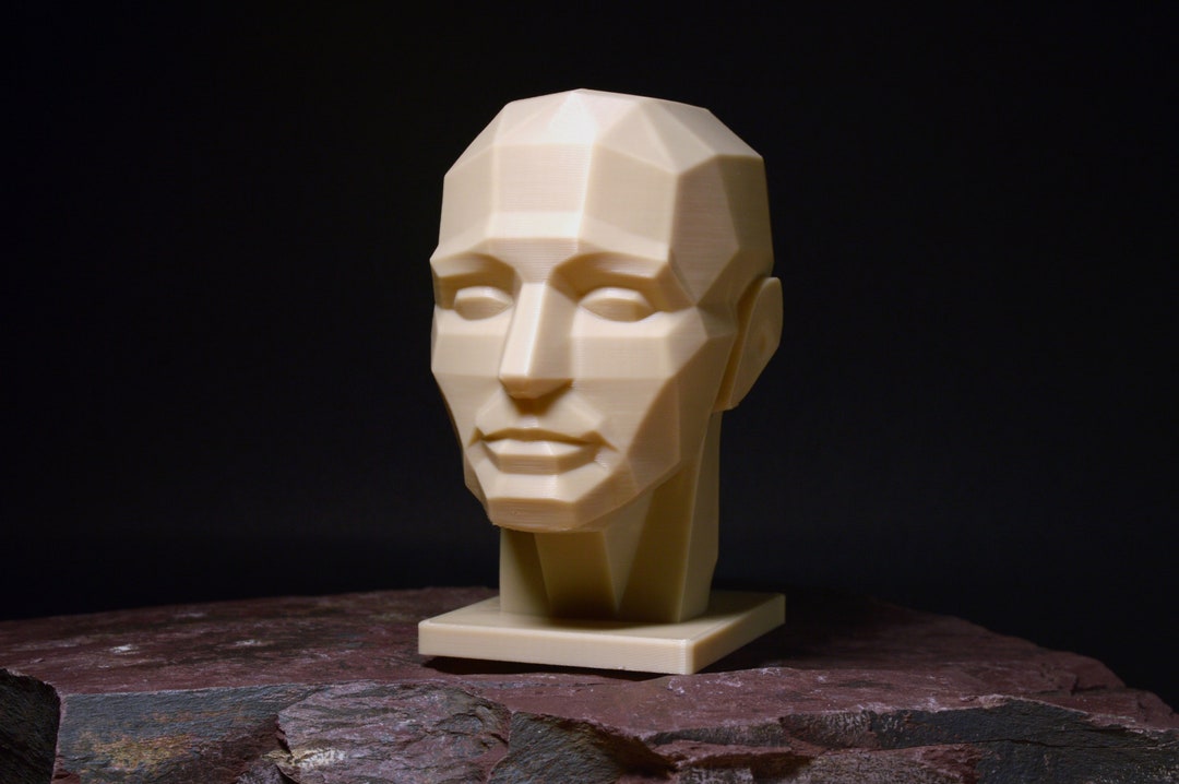 CTDWNT Planar Head Model For Artists,Head Model For India