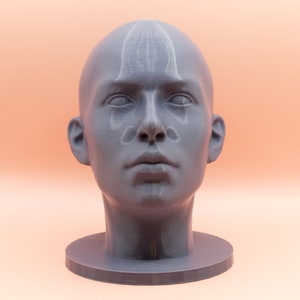 Female Realistic Head Bust | Portrait Reference Tool | Multiple Sizes