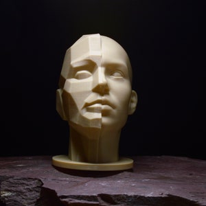 Planar Split Head (Female) | Portrait Drawing Sculpting Aid | Loomis Bammes Asaro
