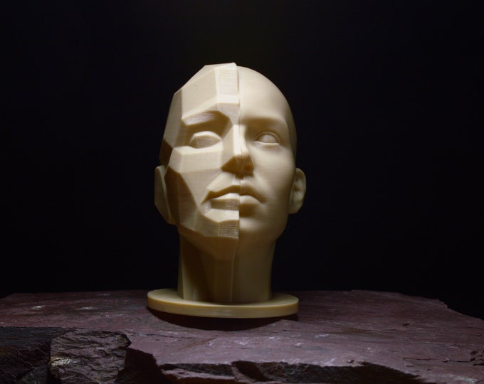 Planar Split Head (Female) | Portrait Drawing Sculpting Aid | Loomis Bammes Asaro
