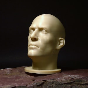 Male Realistic Head Bust | Portrait Reference Tool | Multiple Sizes