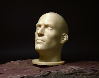 Male Realistic Head Bust | Portrait Reference Tool | Multiple Sizes